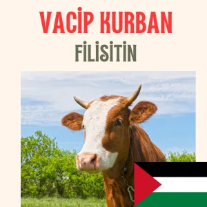 Vacip Kurban Filistin