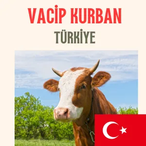 Vacip Kurban Türkiye