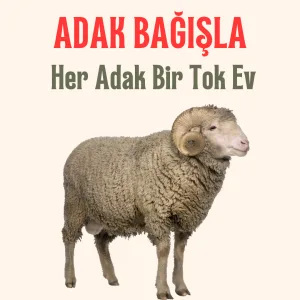 Afrika Adak Kurbanı