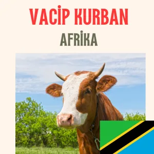 Vacip Kurban Afrika