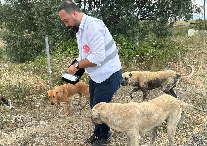 Hayvanlara Mama Dağıtımı