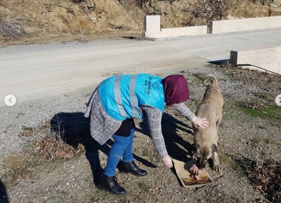 Yılın Son Beslemesi