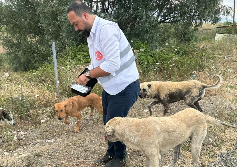 Hayvanlara Mama Dağıtımı